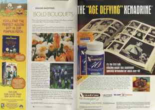 Better Homes & Gardens October 2004 Magazine Article: Page 162