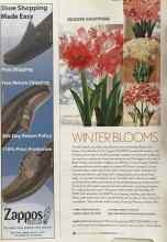 Better Homes & Gardens November 2004 Magazine Article: WINTER BLOOMS