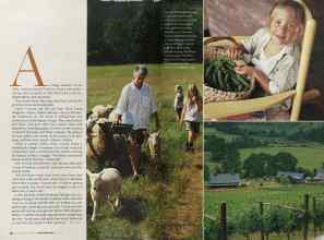 Better Homes & Gardens November 2004 Magazine Article: Page 40