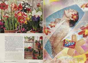 Better Homes & Gardens November 2004 Magazine Article: Page 66