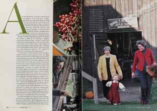 Better Homes & Gardens November 2004 Magazine Article: Page 210