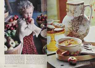Better Homes & Gardens November 2004 Magazine Article: Page 214