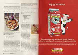 Better Homes & Gardens November 2004 Magazine Article: Page 234