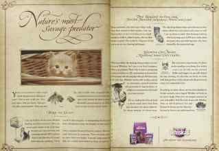 Better Homes & Gardens November 2004 Magazine Article: Page 288