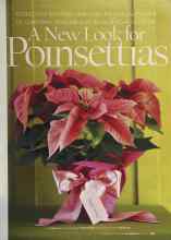 Better Homes & Gardens December 2004 Magazine Article: A New Look for Poinsettias