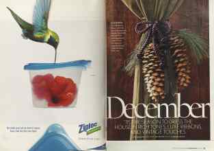 Better Homes & Gardens December 2004 Magazine Article: Page 22
