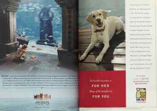 Better Homes & Gardens December 2004 Magazine Article: Page 124