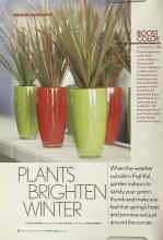 Better Homes & Gardens January 2005 Magazine Article: PLANTS BRIGHTEN WINTER