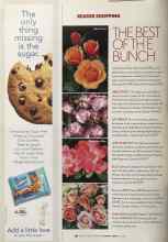 Better Homes & Gardens January 2005 Magazine Article: THE BEST OF THE BUNCH