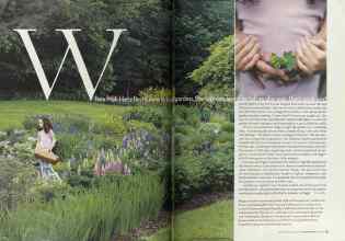 Better Homes & Gardens January 2005 Magazine Article: Page 24