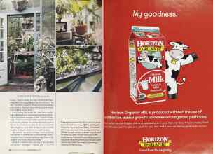 Better Homes & Gardens January 2005 Magazine Article: Page 46