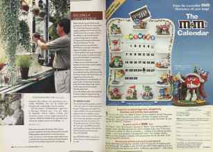 Better Homes & Gardens January 2005 Magazine Article: Page 48