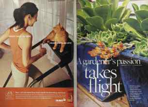 Better Homes & Gardens January 2005 Magazine Article: Page 82