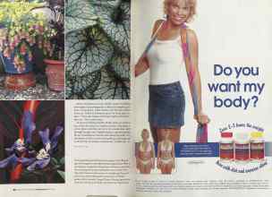 Better Homes & Gardens January 2005 Magazine Article: Page 88