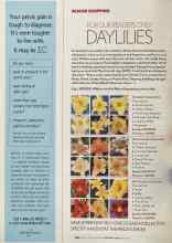 Better Homes & Gardens February 2005 Magazine Article: FOR OUR READERS ONLY DAYLILIES