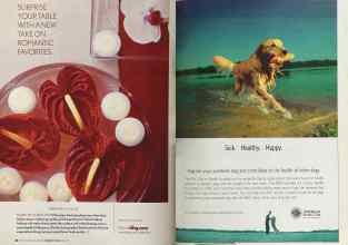 Better Homes & Gardens February 2005 Magazine Article: Page 32