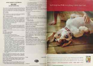 Better Homes & Gardens February 2005 Magazine Article: Page 46