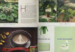 Better Homes & Gardens February 2005 Magazine Article: Page 62