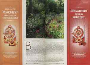 Better Homes & Gardens February 2005 Magazine Article: Page 100