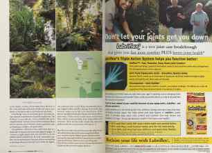 Better Homes & Gardens February 2005 Magazine Article: Page 102