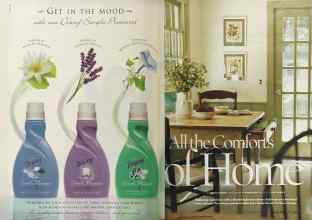 Better Homes & Gardens February 2005 Magazine Article: Page 152