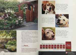 Better Homes & Gardens February 2005 Magazine Article: Page 168