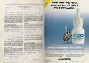 Better Homes & Gardens February 2005 Magazine Article: Page 246