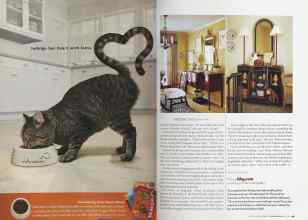 Better Homes & Gardens March 2005 Magazine Article: Page 48