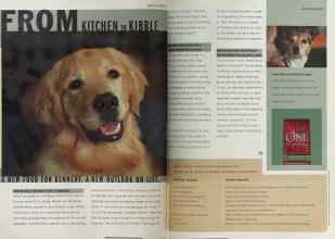 Better Homes & Gardens March 2005 Magazine Article: Page 60