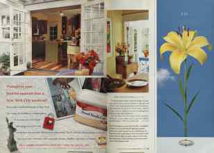 Better Homes & Gardens March 2005 Magazine Article: Page 96