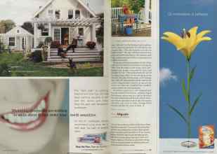 Better Homes & Gardens March 2005 Magazine Article: Page 98