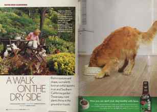 Better Homes & Gardens March 2005 Magazine Article: Page 118