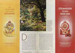 Better Homes & Gardens March 2005 Magazine Article: Page 120