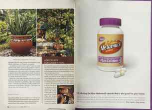 Better Homes & Gardens March 2005 Magazine Article: Page 126