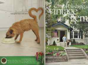 Better Homes & Gardens March 2005 Magazine Article: Page 176