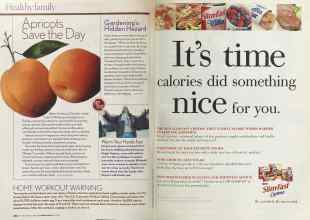 Better Homes & Gardens March 2005 Magazine Article: Page 232