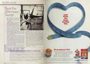 Better Homes & Gardens March 2005 Magazine Article: Page 234