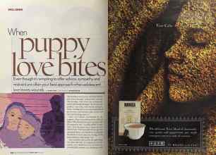 Better Homes & Gardens March 2005 Magazine Article: Page 236