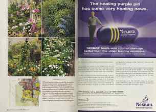 Better Homes & Gardens April 2005 Magazine Article: Page 48