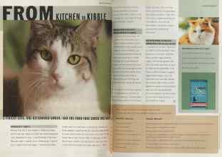 Better Homes & Gardens April 2005 Magazine Article: Page 52