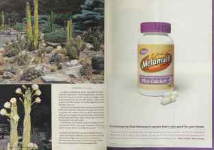 Better Homes & Gardens April 2005 Magazine Article: Page 126