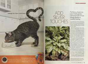Better Homes & Gardens April 2005 Magazine Article: Page 140
