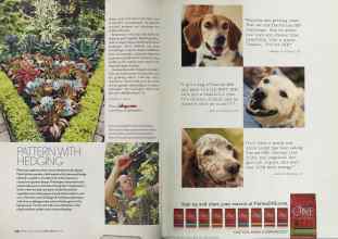 Better Homes & Gardens April 2005 Magazine Article: Page 218