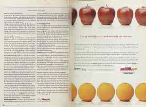 Better Homes & Gardens April 2005 Magazine Article: Page 310