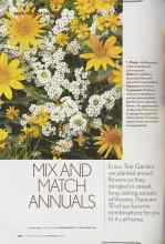 Better Homes & Gardens May 2005 Magazine Article: MIX AND MATCH ANNUALS