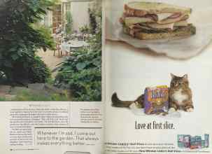 Better Homes & Gardens May 2005 Magazine Article: Page 38