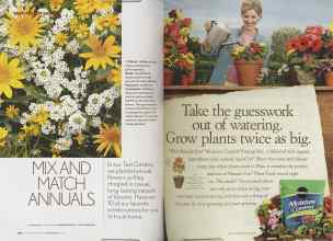 Better Homes & Gardens May 2005 Magazine Article: Page 100