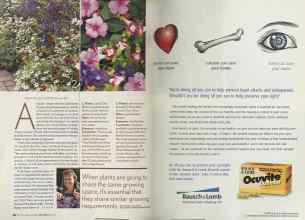 Better Homes & Gardens May 2005 Magazine Article: Page 102