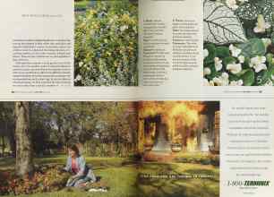 Better Homes & Gardens May 2005 Magazine Article: Page 104