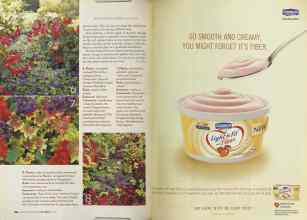 Better Homes & Gardens May 2005 Magazine Article: Page 106